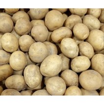 포슬포슬 맛있는 햇감자 수미감자 사이즈별, 특, 10kg