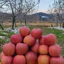 (신사와장터)안동 햇 부사사과 가정용 선물용 5kg 10kg, 가정용(흠과 기스과) 10kg