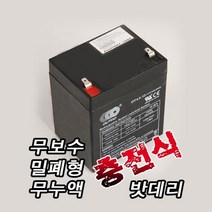 싸파 무보수 밀폐형 무누액 충전식 12V 4.5AH 밧데리, 단일옵션