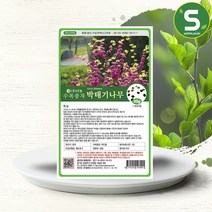 솔림텃밭몰 수목종자 박태기나무씨앗 20g 박태기나무종자 조경, 단품