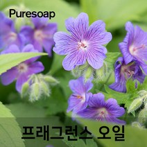 퓨어솝 제라늄(Geranium) 프래그런스오일 (인공향 캔들 디퓨저 방향제) 캔들 디퓨져 화장품 만들기, 100ml