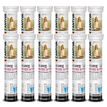 [Zantiva] 독일 발포 비타민C 아연 (4500mg 20정)-12개, 1개, 4500mg×20정