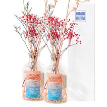 1+1 천연 집안 방향제 대용량 250ml 500ml 욕실 방향제 옷장 방향제 블랙 체리 디퓨저 미드썸머 나잇 디퓨저 바다 디퓨저 교보 문고 디퓨저, 08시트러스 샤워, 500ml + 500ml