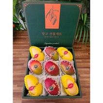 브라질 애플망고 태국 골드망고 프리미엄 선물세트, 태국 골드망고 6과 선물세트