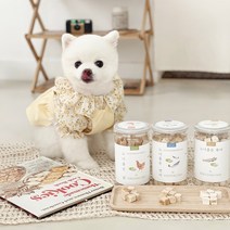 말썽쟁이여름 강아지 고양이 동결건조 야채 노니 북어 연어 치킨 트릿 간식, 노니품은 북어 파우치 25g