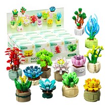 [알꿀밤-호환블럭-꽃] QZ다육이 B세트QZ, 혼합