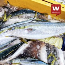 외갓집 [진심수산] 활 중대방어회 필렛 600g x 2팩 6-8인분 (진공포장)/삼둥이초장포함