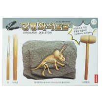 미소로 2500 공룡 화석 발굴키트 2104 156 x 32 x 110 mm, 9개