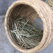 닭집 산란 둥지 닭 알 통 닭장 달걀 계란 부화 볏짚, 환기형