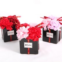 비누꽃 화분, 레드핑크_MIX