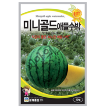 미니골드 애플수박 씨앗 10립 맛과 당도 식감 좋은 속노란 애플 수박종자 세계