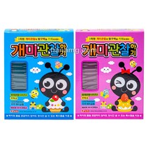 개미관찰하기(중)