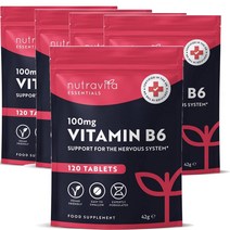 영국 뉴트라비타 Nutravita Vitamin B6 비타민B6 100mg 120정, 5팩