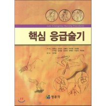 [정문각]핵심 응급술기, 정문각, 이은남 등저