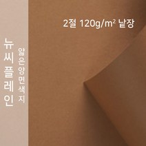 뉴씨플레인 종이문화 얇은 양면색지 120g 2절 낱장 1매 No.23 황토색, 1장