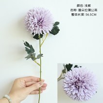 센픽 조화 버터플라이꽃 갈대 양귀비 미니 꽃다발 폼폼국화 69 동백꽃 버들강아지 자작나무가지, 밝은 보라색 1개