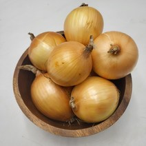 국내산 장아찌용 햇 지양파 최상품 3kg 5kg 10kg [노블프레쉬], 지양파 5kg