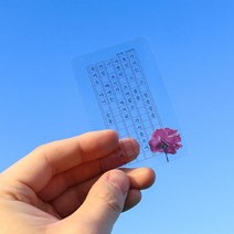 한국 시집 투명 원고지 책갈피 세트 5type, 윤동주
