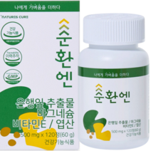 순환엔 은행잎추출물 마그네슘, 120정, 1개