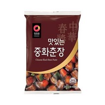 청정원 감칠맛 맛있는 중화춘장 짜장 별미 풍미 볶음밥소스 250g 간단한요리 간편식, 49개