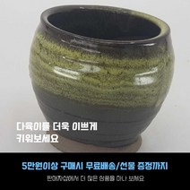 다육 다육화분 원형 투톤화분 4개세트, 노랑색