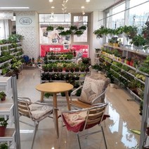 한국시티팜협동조합 다목적 수경재배기, 4단