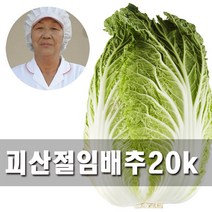 [무르지않고 맛있는배추]속노란 맛난배추 괴산 절임배추 20kg, 2월 21일발송-22일도착