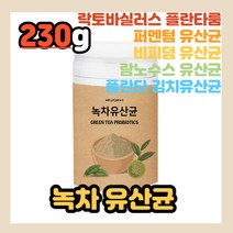 녹차 유산균 유상균 유상군 GREEN TEA PROBIOTICS 분말 제품 가루 안전한 상품 국내산 국산 한국산 쥬스 주스 즙 쉐이크 냉장 냉동 실온 보관 녹차잎 영양보충 장리듬