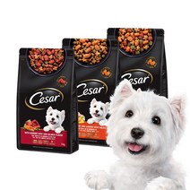 시저 연어맛이 곁들여진 최상급 쇠고기 1kg x 6봉 1박스 반려동물용품 pet shop