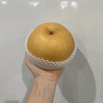 나주배 전남권 신고배 선물용 가정용 5kg, 신고배(9~10과)
