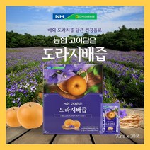 농협 도라지배즙 도라지진액 스틱 배도라지청 약도라지청 액기스 엑기스 부모님 어르신 건강식품 명절 추석 선물세트, 1. 도라지배즙 2박스