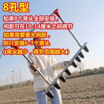 농사용 씨앗파종기 농기구 다목적 주입기 심는기계 마늘 비료 깨 종자 고추, 딸기 보금자리(8공형)