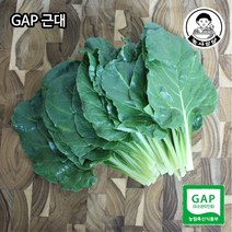 [농사임당] GAP 근대 500g/1kg, 500g