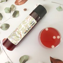 유기농 문경오미자청 생오미자청 오미자시럽 500ml, 1개, 600g