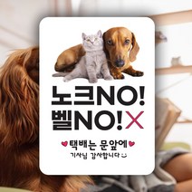 차차미 개가 짖어요 벨누름방지 현관문패, 모델2, 화이트