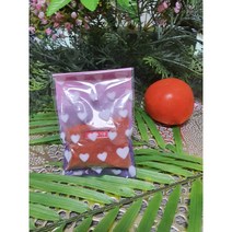 [방달팽이연구소] 달팽이 사료 토마토 분말 20g 국내산 100% 달팽이 키우기 채소가루 달팽이 먹이