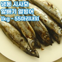 알배기 냉동 열빙어 시사모 1kg 55마리내외