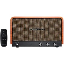 브리츠 Airpulse P100X 블루투스 다이나믹 우퍼스피커