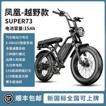 전기자전거 Phoenix SD1 20인치 오프로드 레트로 빈티지 산악자전거 전동자토바이, E 15ah, 48V