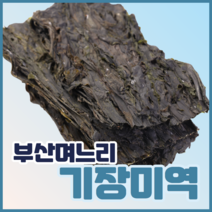 석하 프리미엄 기장산모미역 세트 + 쇼핑백, 1세트