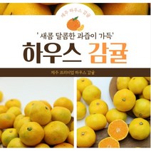 제주 하우스 감귤 1kg 2kg 3kg 가정용 선물용 배송혜택 리뷰추첨, 가정용소과 1kg(500g*2)