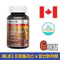 6개월 캐나다 프로폴리스500 건강기능식품 항산화 포로폴리스 풀로폴리스 푸로포리스 목 구강 청소년 수험생 임산부 가족