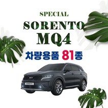 [차랑] 쏘렌토 MQ4 차량 용품 도어커버 도어포켓 키케이스 튜닝 악세사리, 48_MQ4 메탈 도어 사이드 가니쉬