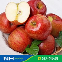 해든팜 [맛딜]아삭달콤한 거창 꿀사과 가정용 5kg(대과)14-16과 내외, 1