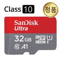 샌디스크 지넷 GW200i 블랙박스SD카드 메모리 32GB