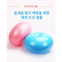 강아지 짐볼 애견 슬개골탈구 예방 펫 스쿼트 어질리티 강아지재활 운동기구, 퍼플