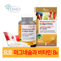 마그네슘 비타민B6 890mg x 90캡슐 신경과 근육기능 유지와 에너지 이용에 필요한 비타민B6 마그네슘 눈떨림 영양제 산화마그네슘 캐나다 직수입, 1병