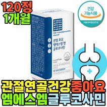 식이유황 글루코사민 관절 MSM 비타민디 종합영양제 프로테오글리칸 무릅연골 뼈에좋은 음식 무릎연골 디메틸설폰 유기유황 보스웰리아 어골칼슘 60대비타민 무릎이시큰 뼈건강식품