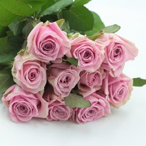 헤라 장미꽃 생화택배 (고속터미널꽃시장 직배송) 꽃예꽃, 비슷한 느낌의 꽃으로 변경(다른꽃or다른색), 월요일 구매시 (수~목요일 도착)