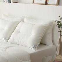 세사 AK수원점 SESA N뉴컴퍼터블 경추베개솜 50X70